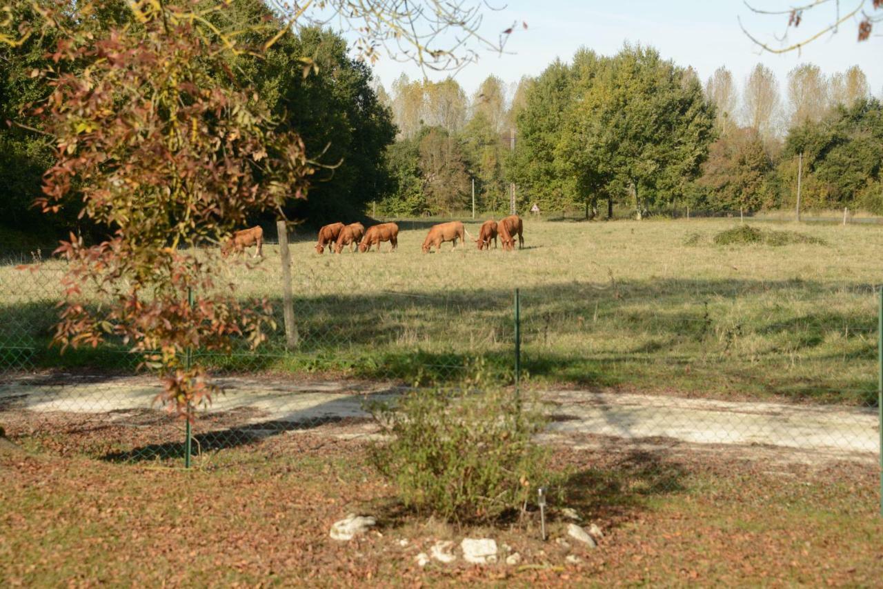 Les Demeures De La Laigne Bed & Breakfast Allas-Bocage Exterior foto